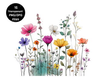 Clipart z dzikimi kwiatami, szkice kwiatów, grafika liniowa z motywem botanicznym (PNG/JPG)