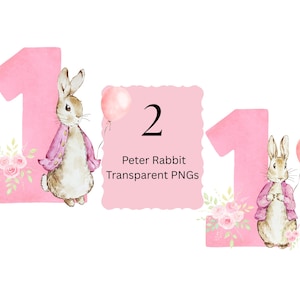 Peter, o Coelho PNG Peter, Coelho, Idade 1 PNG Primeiro Aniversário PNG Download Digital Pink Floppy Rabbit Primeiro Aniversário png Cartão Fazendo Coelho Rosa