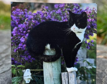 Zip, King of Bedlam Farm Magnet