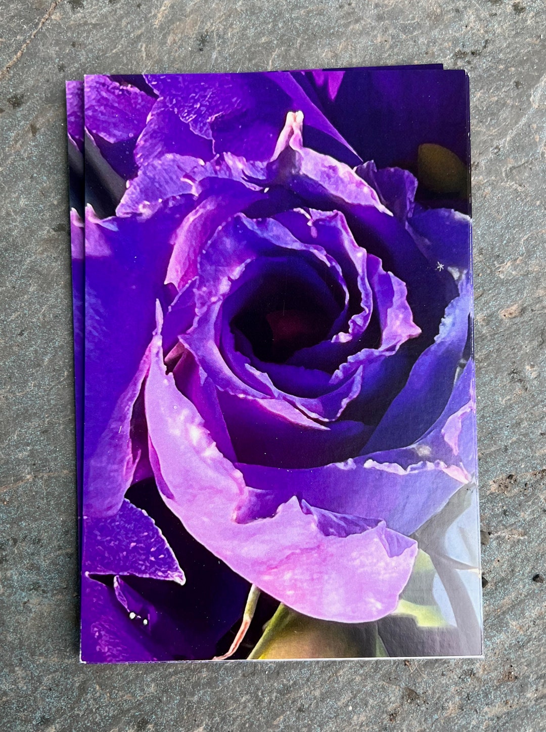 Pack of Six Purple Flower Postcards Etsy