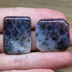 Amethyst Sage Agate Cabochon – Denio, Nevada - 2 Selections