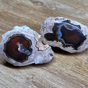 May include: Two polished agate stones with concentric bands of brown, black, and white, set against a light gray matrix. The stones have a polished, glossy appearance and are displayed on a wooden surface.