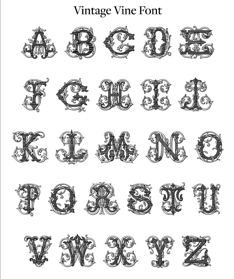Pode incluir: Um conjunto de letras do alfabeto em preto e branco, cada uma com um design de videira vintage. O texto "Vintage Vine Font" est&aacute; no topo. As letras est&atilde;o em uma fonte serif.