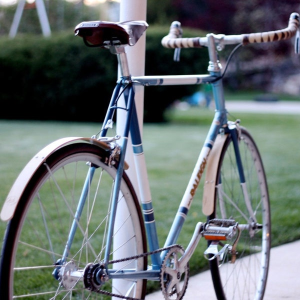 wooden bike fenders (short)