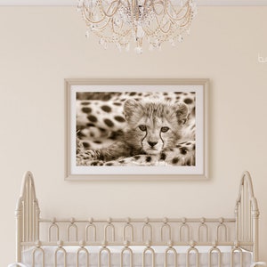 Baby Cheetah Print, Baby Animal Nursery Art, Animal Nursery Decor, Baby Animal Print, Kids Room Decor, Safari Animal, Safari Baby Shower image 9