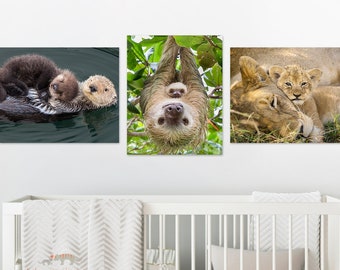 Nursery Wall Art / Nursery Print Set / Sloth / Sea Otter / Lion / Nursery Wall Art / Safari Animal Print / Baby Room / Baby Animal Print