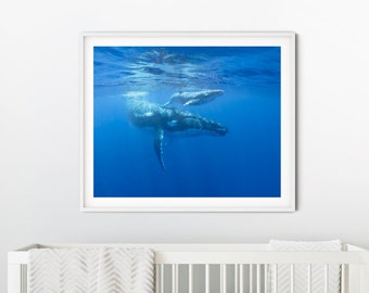 Walvisbabyprint: kinderkamerkunst oceaan door Suzi Eszterhas