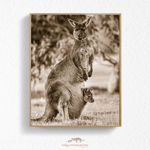 Baby Kangaroo Print, Baby Animal Nursery Decor, Kangaroo Joey,  Safari Nursery Art, Australian Animal, Safari Theme, Kids Room Decor, Zoo