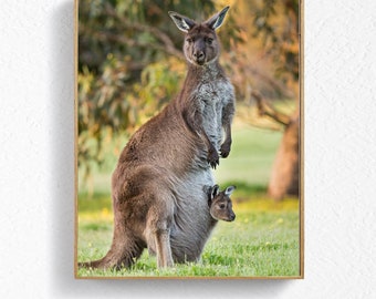 Kangaroo & Joey Nursery Art Print: Australian Animal Decor