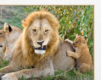 Safari Nursery Art / Lion / Baby Animal Print / Safari Nursery / Fathers Day / Gifts for Dad / Kids Room Decor / Childrens Room / Wildlife