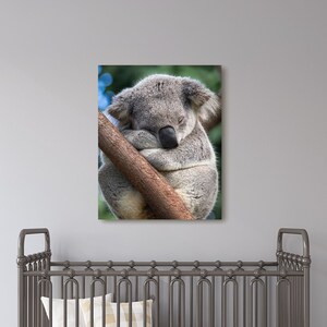 Koala Print, Australian Nursery Animal Decor, Australian Animal Wall Art, Printed Wall Art, Koala Bear, Koala Gift, Nursery Decor, Kids Room