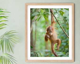 Baby Animal Print / BABY ORANGUTAN Print / Jungle Nursery Art / Baby Monkey / Animal Nursery Decor / Childrens Room Decor / Animal Wall Art