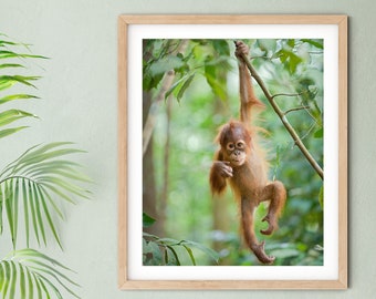 Baby Monkey Nursery Print, Orangutan Print, Jungle Animal Nursery Decor, Jungle Animal Nursery Print, Baby Animal Nursery, Monkey Print