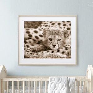 Baby Cheetah Print, Baby Animal Nursery Art, Animal Nursery Decor, Baby Animal Print, Kids Room Decor, Safari Animal, Safari Baby Shower image 1