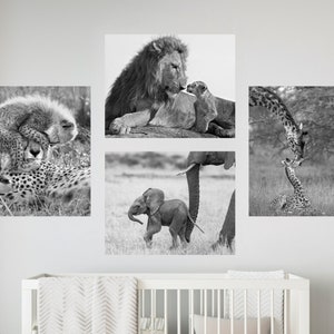 Safari Nursery Decor, Safari Animal Prints, Set of 4 Nursery Wall Art,  Jungle Animals, Elephant Art, Baby Room, Safari Nursery Prints, Lion