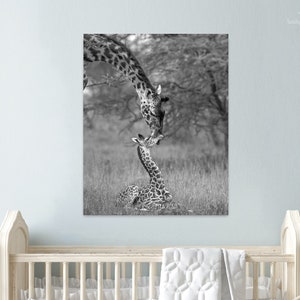 Safari Animal Nursery Art / Baby Giraffe Print / Animal Nursery Decor / Baby Animal Print / Nursery Wall Art / Kids Room Decor / Zoo Animals image 1