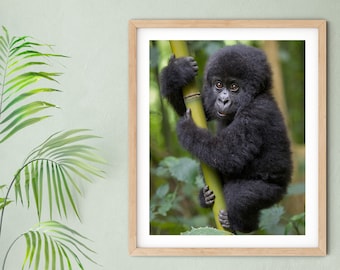 Nursery Art / Baby Gorilla Print / Baby Animal Print / Safari Nursery Art / Jungle Nursery Decor / Safari Baby Shower / Animal Nursery Decor