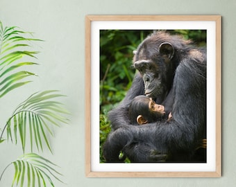 Baby Chimp Print: Jungle Nursery Wall Art