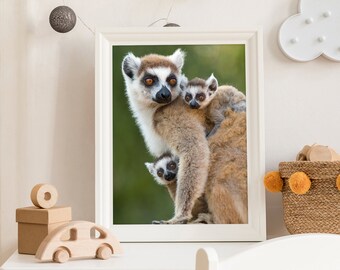 Safari Animal Nursery Decor, Lemur Print, Lemur, Baby Animal Print, Safari Nursery Art, Nursery Wall Art, Kids Room Decor, Twin Baby Gift