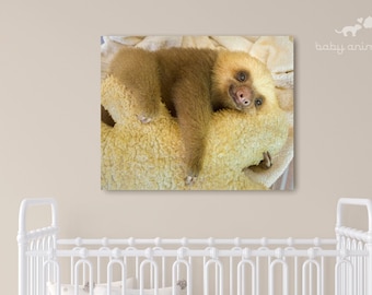 Baby Sloth Print, Baby Animal Nursery Print, Animal Pictures for Nursery, Sloth Gift, Sloth Theme, Zoo Animal Print, Animal Nursery Decor