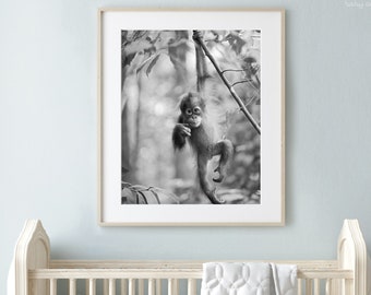Baby Orangutan Print, Monkey Nursery Print, Jungle Animals, Baby Animal Nursery Print, Baby Animal Nursery Art, Baby Animal Print, Wildlife