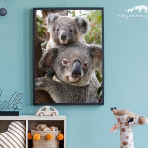 Baby Animals Wall Art, Baby Koala Nursery Print, Nursery Decor, Baby Animal Print, Koala Baby Gift, Australian Animal, Kids Room Decor, Zoo