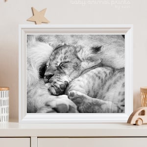 Stampa safari con animali, leoncino, neonato, stampa per bambini, decorazioni per cameretta con animali, stampa di animali per bambini, arte per cameretta con animali, cameretta con animali dello zoo