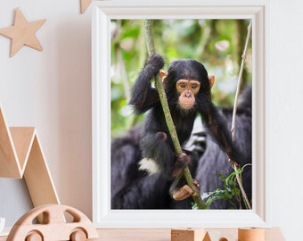 Jungle Nursery Art, Jungle Animal Print, Monkey Print, Baby Chimpanzee, Baby Animal Print, Nursery Wall Art, Baby Room Decor, Monkey Nursery