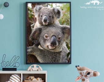 Baby Koala Print: Animal Nursery Wall Art
