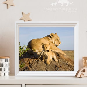 Playroom Print, Baby Lion Print, Baby Safari Animal, Playroom Wall Art, Lion Cub, Animal Nursery Print, Safari Animal Wall Art, Zoo Nursery