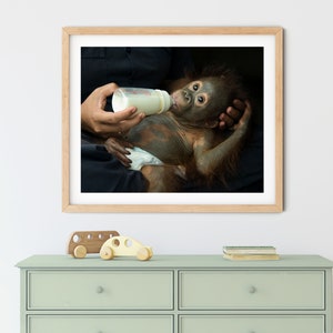Baby Orangutan Print, Animal Nursery Print, Baby Animal Print, Zoo Animal Print, Nursery Art, Art for Nursery, Animal Theme Nursery, Monkey