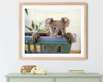 Puede incluir: Un lindo koala sentado en una cesta de lavandería azul. El koala está mirando a la cámara con una expresión curiosa. El fondo es de color beige claro.
