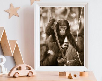 Safari Nursery Art / Baby Chimpanzee / Chimp / Baby Animal Nursery Art / Safari Animal Wall Art / Animal Nursery / Baby Animal Print / Zoo