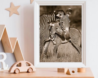 Baby Zebra Nursery Art / Baby Animal Nursery / Safari Nursery / Nursery Decor / Baby Nursery / Zoo Animals / Zebra / Kids Room Decor