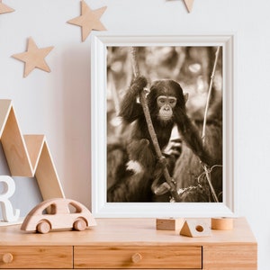 Safari Nursery Art / Baby Chimpanzee / Chimp / Baby Animal Nursery Art / Safari Animal Wall Art / Animal Nursery / Baby Animal Print / Zoo image 1