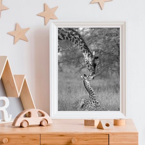 Safari Animal Nursery Art / Baby Giraffe Print / Animal Nursery Decor / Baby Animal Print / Nursery Wall Art / Kids Room Decor / Zoo Animals image 6