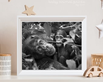 Baby Chimp Print: Wildlife Nursery Art by Suzi Eszterhas