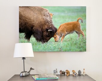 Woodland Nursery Art / BABY BISON / Safari Nursery Art / Baby Animal Nursery Print / Safari Baby Shower / Woodland Animals / Zoo Animals