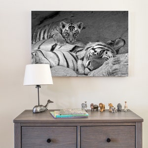 Tigers / Safari Animal Nursery Art / Safari Nursery Prints /  Zoo Animals / Nursery Decor / Baby Nursery / Gifts for Mom / Wildlife