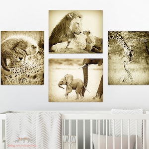 Nursery Animal Prints, Safari Animal Prints, Baby Animal Prints, Nursery Art, Elephant Print, Lion, Cheetah, Giraffe Print, Safari Theme Art