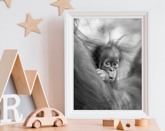 Baby Orangutan Nursery Print: Black and White Jungle Animal Art
