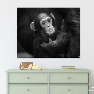 Arte de guardería de animales bebés / Arte de guardería de chimpancé bebé / Arte de guardería de jungla / Impresión de animales bebés / Fotografía de animales / Decoración de guardería de safari / Guardería de bebé