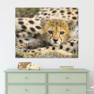 Safari Animals Wall Art, Baby Cheetah Print, Safari Theme, Nursery Decor, Safari Nursery Wall Art, Zoo Animal Nursery, Baby Animal Print