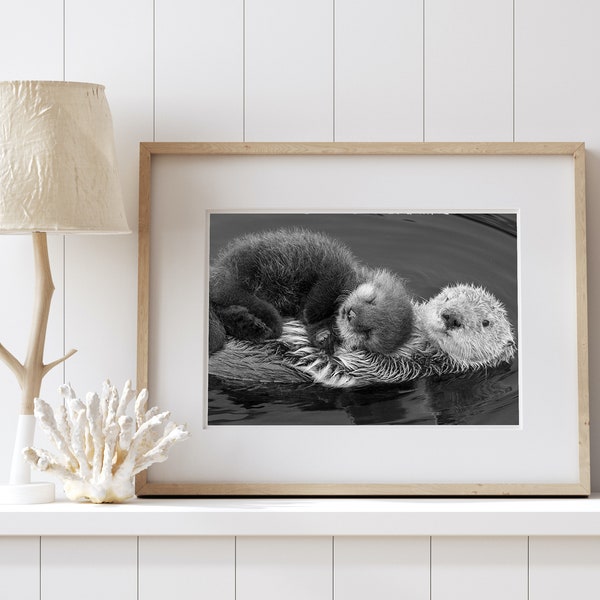 Animal Nursery Decor / Baby Sea Otter / Baby Animal Prints / Ocean Nursery Decor / Animal Wall Art / Otter Pup / Kids Room Decor / Wildlife