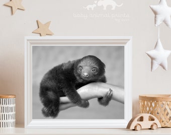 Sloth Gift / Sloth Art / Baby Animal Nursery Art / Animal Nursery Decor / Animal Wall Art / Sloth Print / Zoo Animal Print / Animal Photo