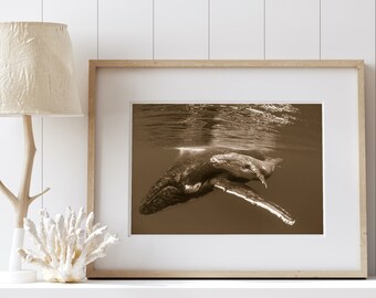 Ocean Nursery Art, Baby Whale Print, Whale Art, Baby Animal Nursery Print, Animal Nursery Decor, Nursery Wall Art, Ocean Nursery Print, Kid