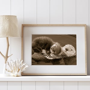 Sea Otter Baby Animal Art Print, Ocean Animal Nursery Art, Sea Otter Print, Baby Animal Art Decor, Animal Nursery Decor, Kids Room Decor