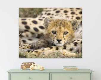 Safari Animals Wall Art, Baby Cheetah Print, Safari Theme, Nursery Decor, Safari Nursery Wall Art, Zoo Animal Nursery, Baby Animal Print