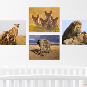 SAFARI ANIMALS, Safari Nursery Art, Baby Animal Wall Art , Nursery Wall Decor, Baby Room Print, Nursery Art Print, Elephant Print, Lion, Zoo