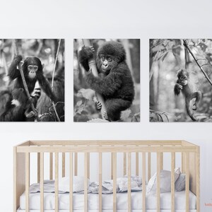 Monkey Nursery Print Set, Baby Animal Nursery Art, Neutral Nursery, Jungle Nursery Decor, Jungle Animals Wall Art, Orangutan Print, Gorilla